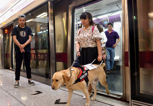 168体育“导盲犬”可乘坐北京地铁(图1)