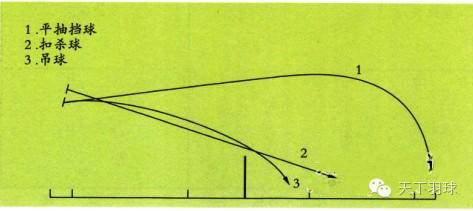 按飞行弧线划分羽毛球球法类型(图2)